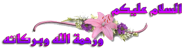 F B048e4c2ebm 0c406a4